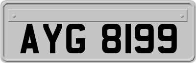 AYG8199