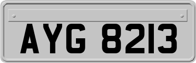AYG8213