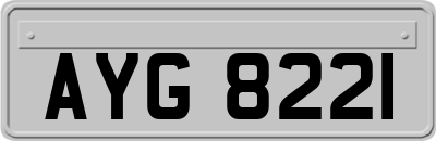 AYG8221