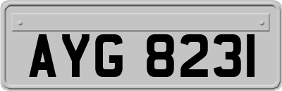 AYG8231