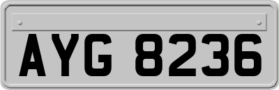AYG8236