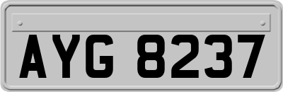 AYG8237