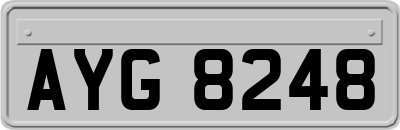 AYG8248