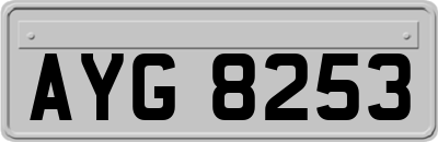 AYG8253