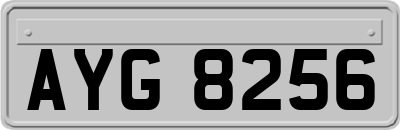 AYG8256