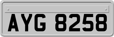 AYG8258