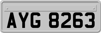 AYG8263