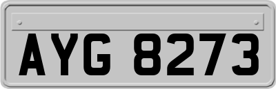 AYG8273