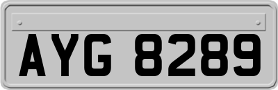 AYG8289