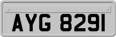 AYG8291