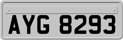 AYG8293