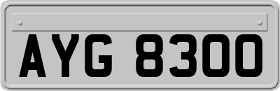 AYG8300