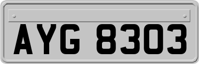 AYG8303