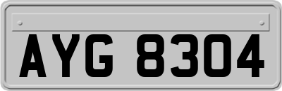AYG8304