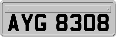 AYG8308