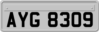 AYG8309