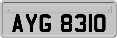 AYG8310