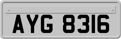AYG8316