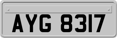 AYG8317
