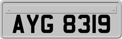 AYG8319