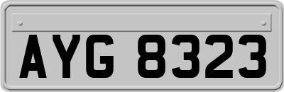 AYG8323