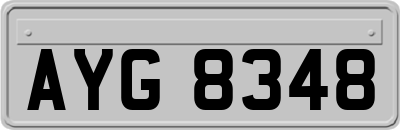 AYG8348