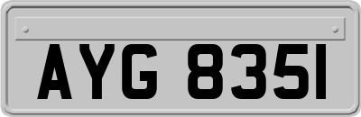 AYG8351