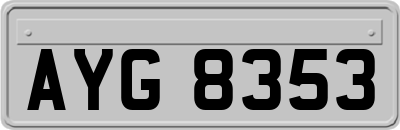 AYG8353