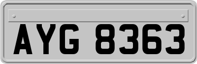 AYG8363