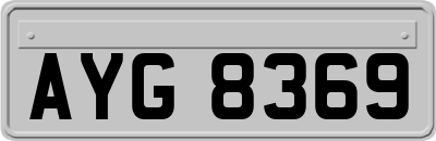 AYG8369