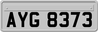 AYG8373