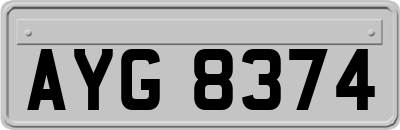 AYG8374