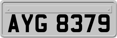 AYG8379