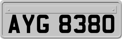 AYG8380