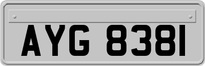 AYG8381