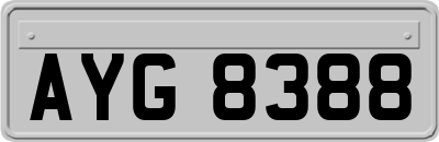 AYG8388