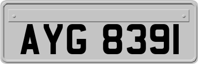 AYG8391