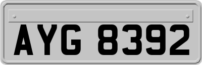 AYG8392