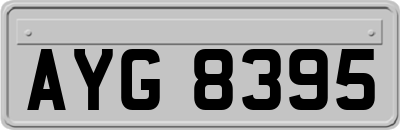 AYG8395