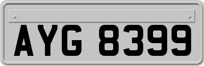 AYG8399