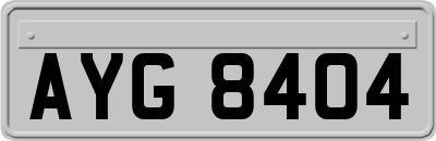 AYG8404