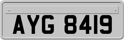 AYG8419
