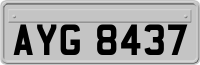 AYG8437