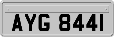 AYG8441