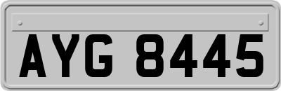 AYG8445