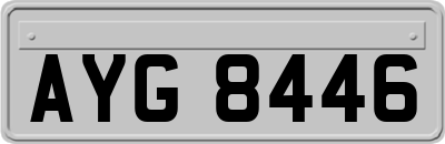 AYG8446