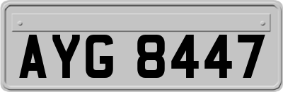 AYG8447