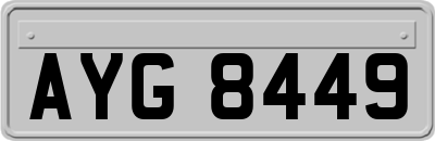 AYG8449