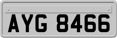 AYG8466