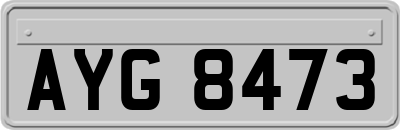 AYG8473